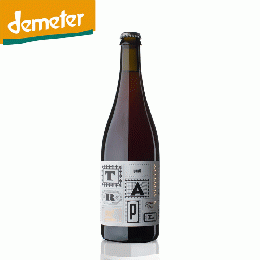 ヨハネス・トラプル　ユニ・シックス　2023