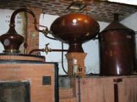 ダニエル・ブージュ　ロワイヤル